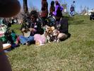 barkus2001-009